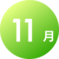11月