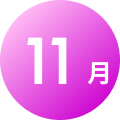 11月